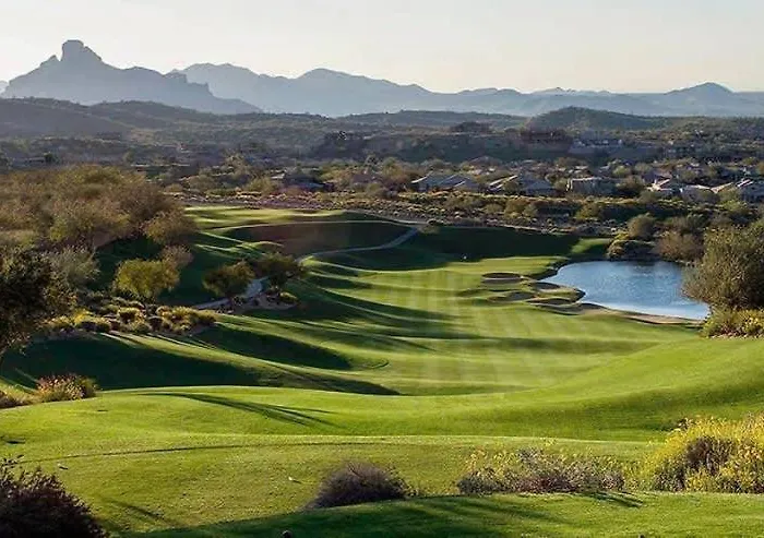 Midnight At The Oasis * Scottsdale